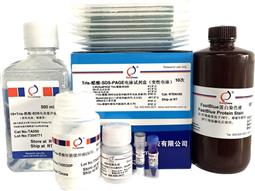 Tris-醋酸-SDS-PAGE電泳試劑盒（變性電泳，含預(yù)制膠）
